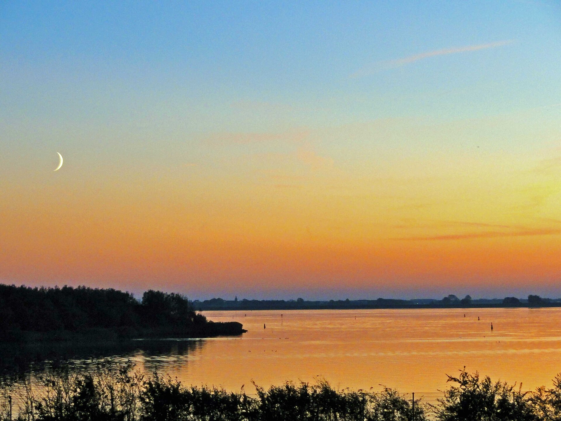 Uitzicht over het water en de rietvelden van het Lauwersmeer